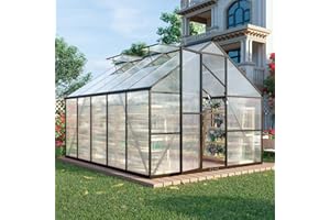 FLY BY YAN 8x10 FT Greenhouse for Outdoors,Green House for Outside,Dark Gray
