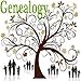 Genealogy