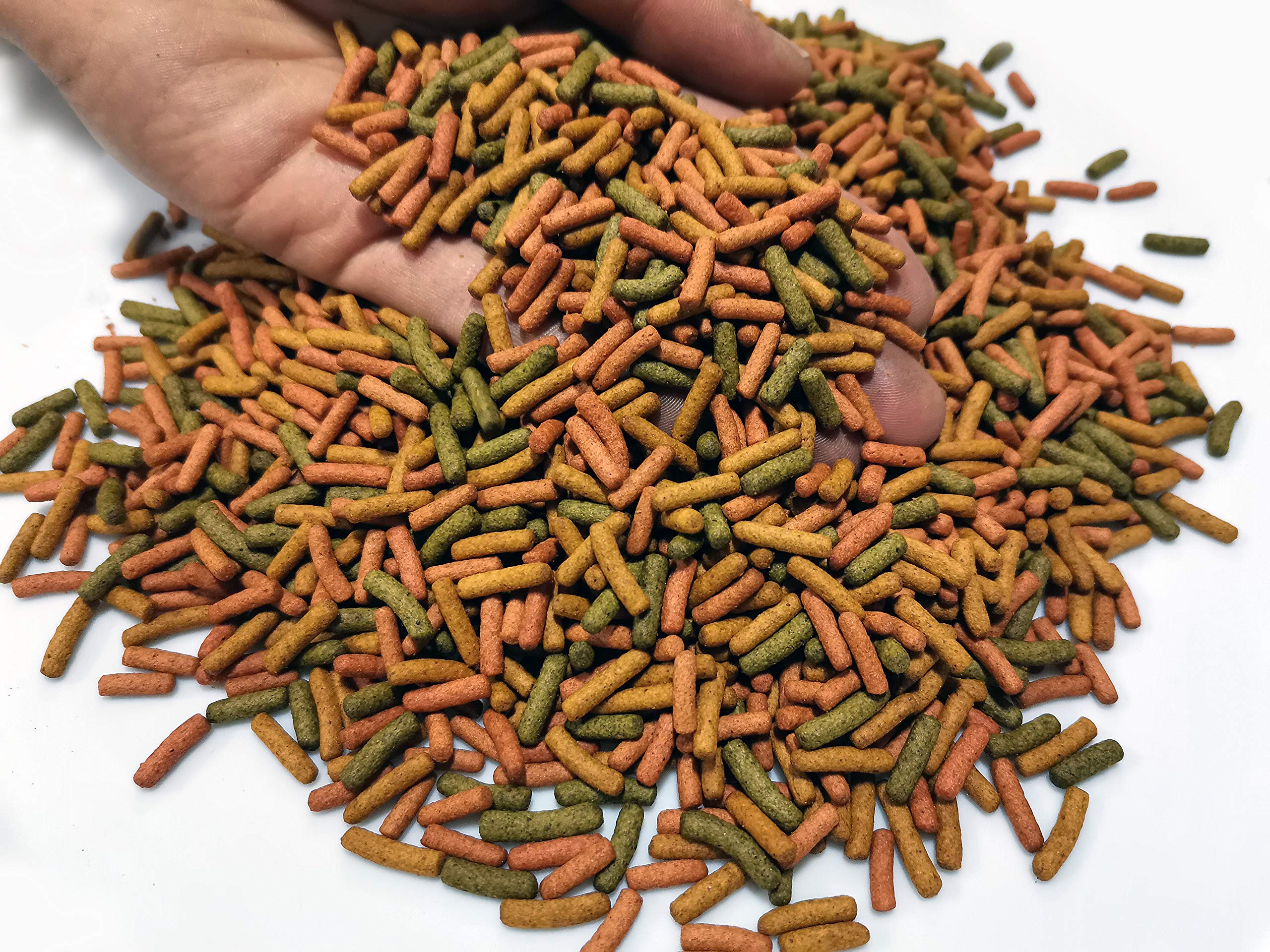 (200g) Premium Turtle, Terrapin, Reptile Pellets Food, Water, Aquatic, Mud Turtle Food