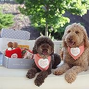 The Dapper Dog Box - Curated Fun Themed Dog Toys, Treats and Accessories Subscription: Small-Medium Dog (0-35 LBS)