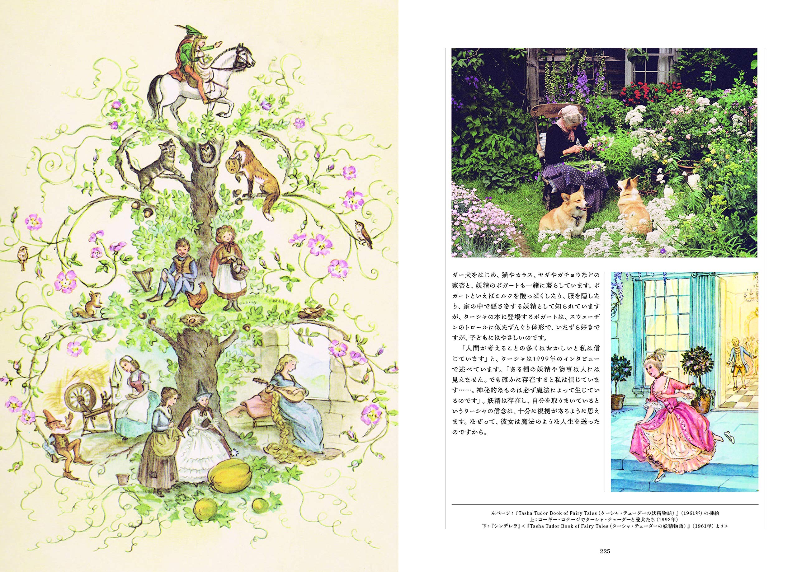 妖精の手引き書 不思議で美しいフェアリーの世界 Amazon Com Books