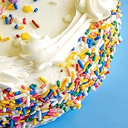 Rainbow Sprinkles Jimmies 1.98 Pounds