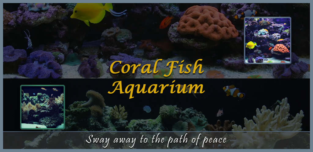 Coral Fish Aquarium TV