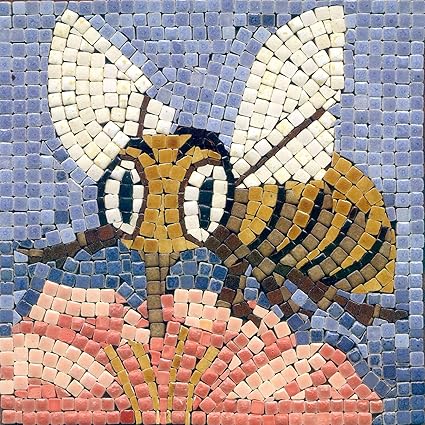 Kit Mosaico Fai Da Te 15x15cm Ape Amazon It Casa E Cucina