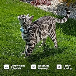 Tractive Smart Cat GPS Tracker | Real-Time Location