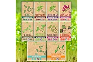 ZESTIGREENS 10 Variety Pack Microgreens Seeds - Broccoli, Sunflower, Pea, Salad Mix, Daikon Radish, Kale, Amaranth, Spicy Salad, Red Cabbage, & Arugula. Grow Your own Microgreens with These Organic Seeds.