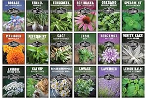 Medicinal Herb Seeds for Planting | 18 Seed Variety Pack of Heirloom, Non-GMO Herbs – Herbal Teas, Tinctures & Home Apothecary Garden Kit – Survival Garden Seeds