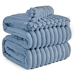 Bedsure GentleSoft Blue California King Size