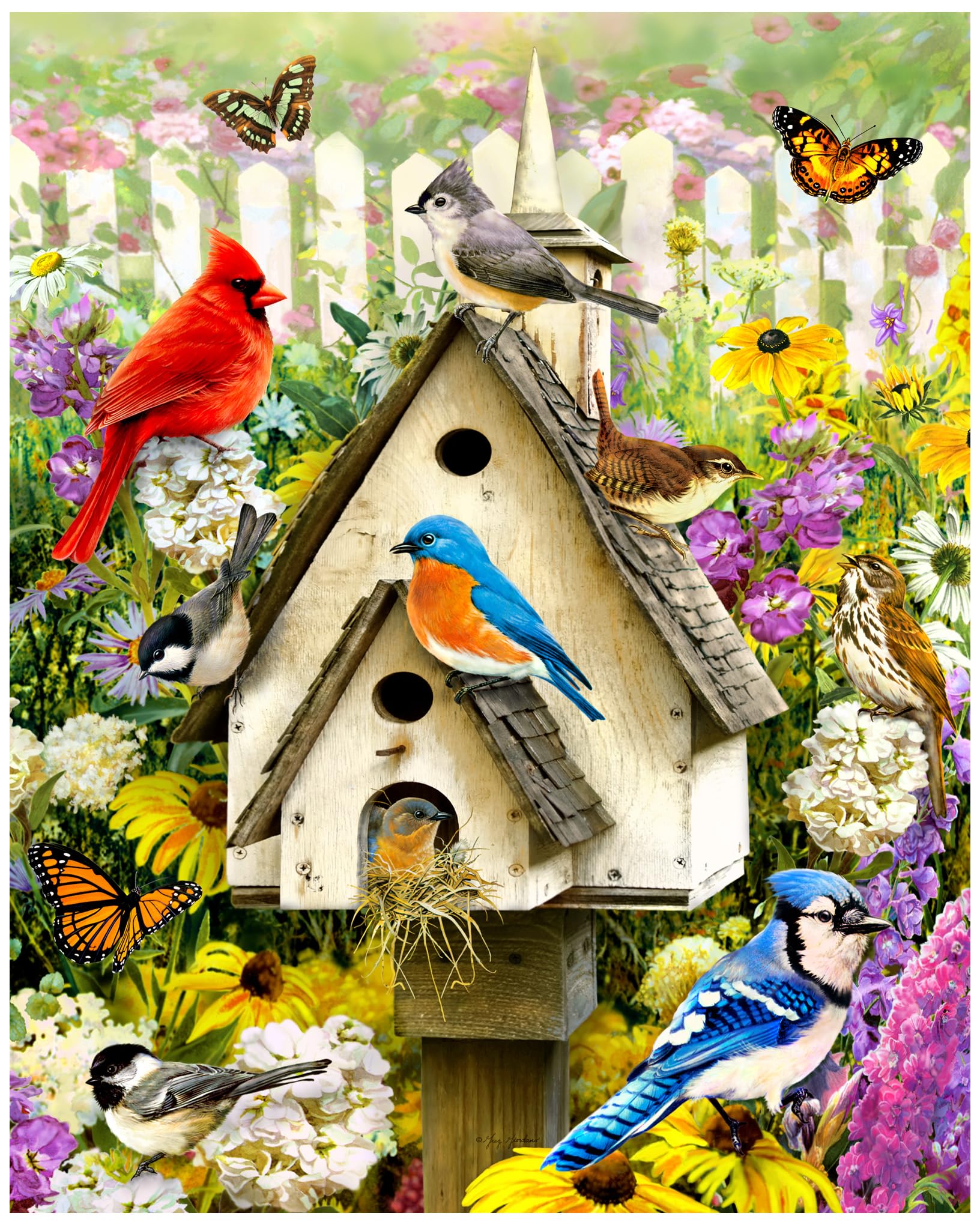 Backyard Birds Jigsaw Puzzle 1000 Piece