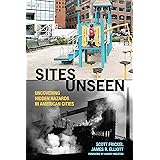 Sites Unseen: Uncovering Hidden Hazards in American Cities: Uncovering Hidden Hazards in American Cities (American Sociologic