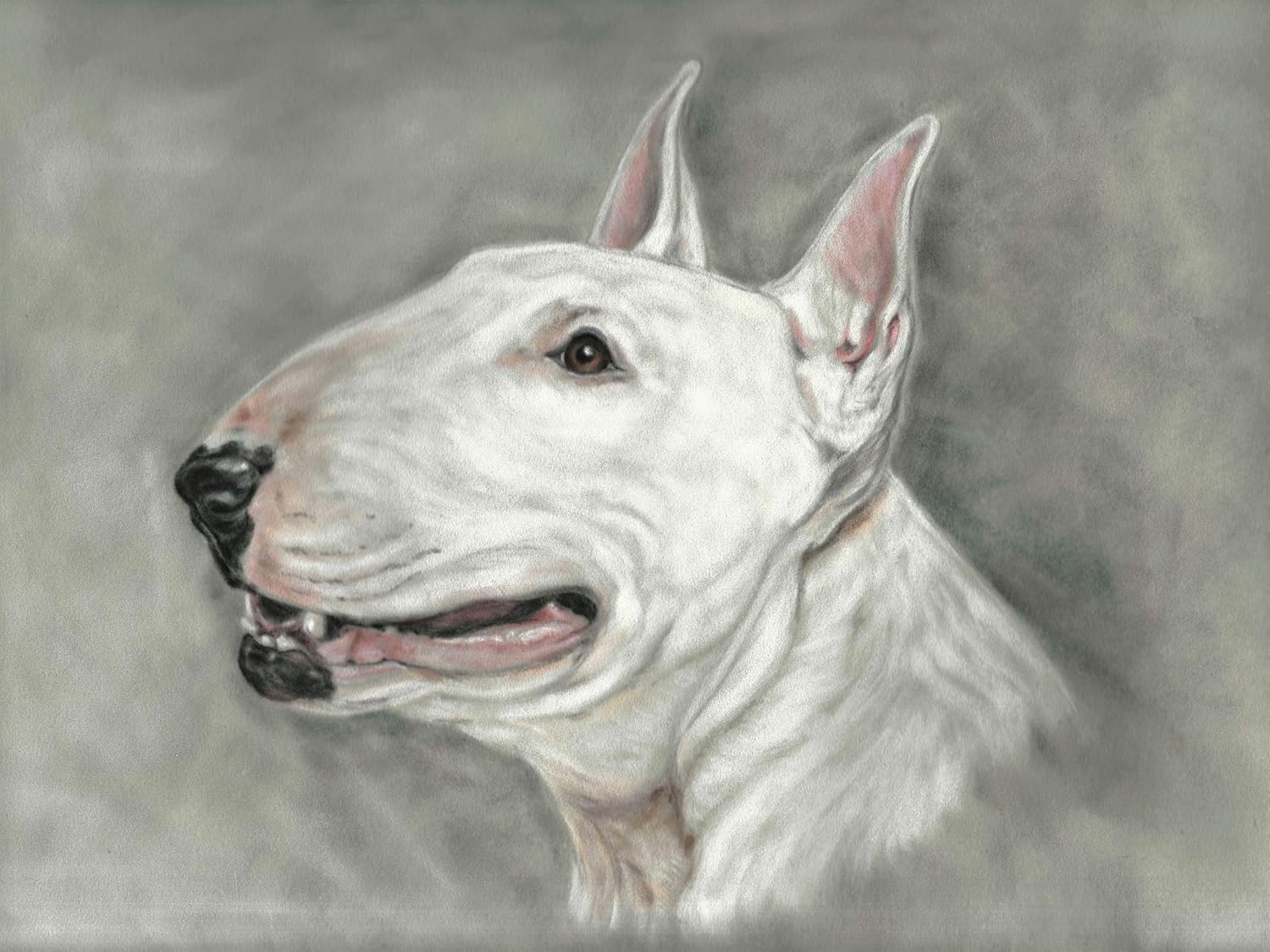 Large English Bull terrier gifts print wall art of original dog