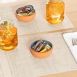 Restaurantware-Terra Tek 5.1 Ounce Terracotta
