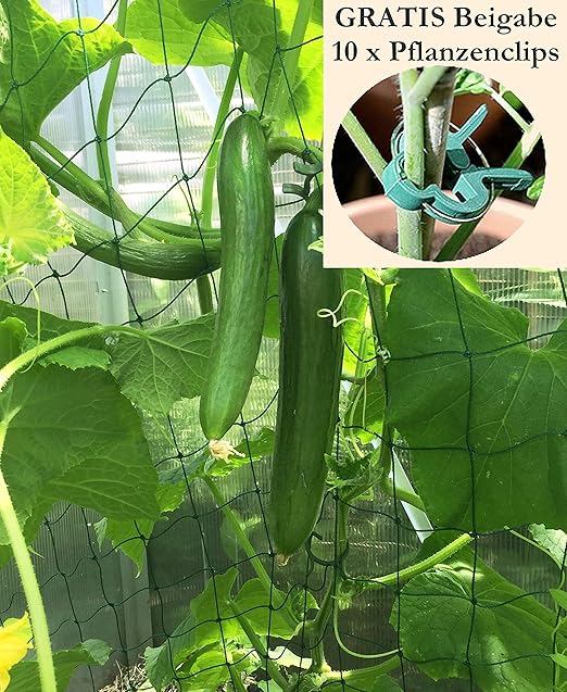 KRONLY - Red de Enrejado para pepinos y Tomates, 3 m x 2 m y 10 ...
