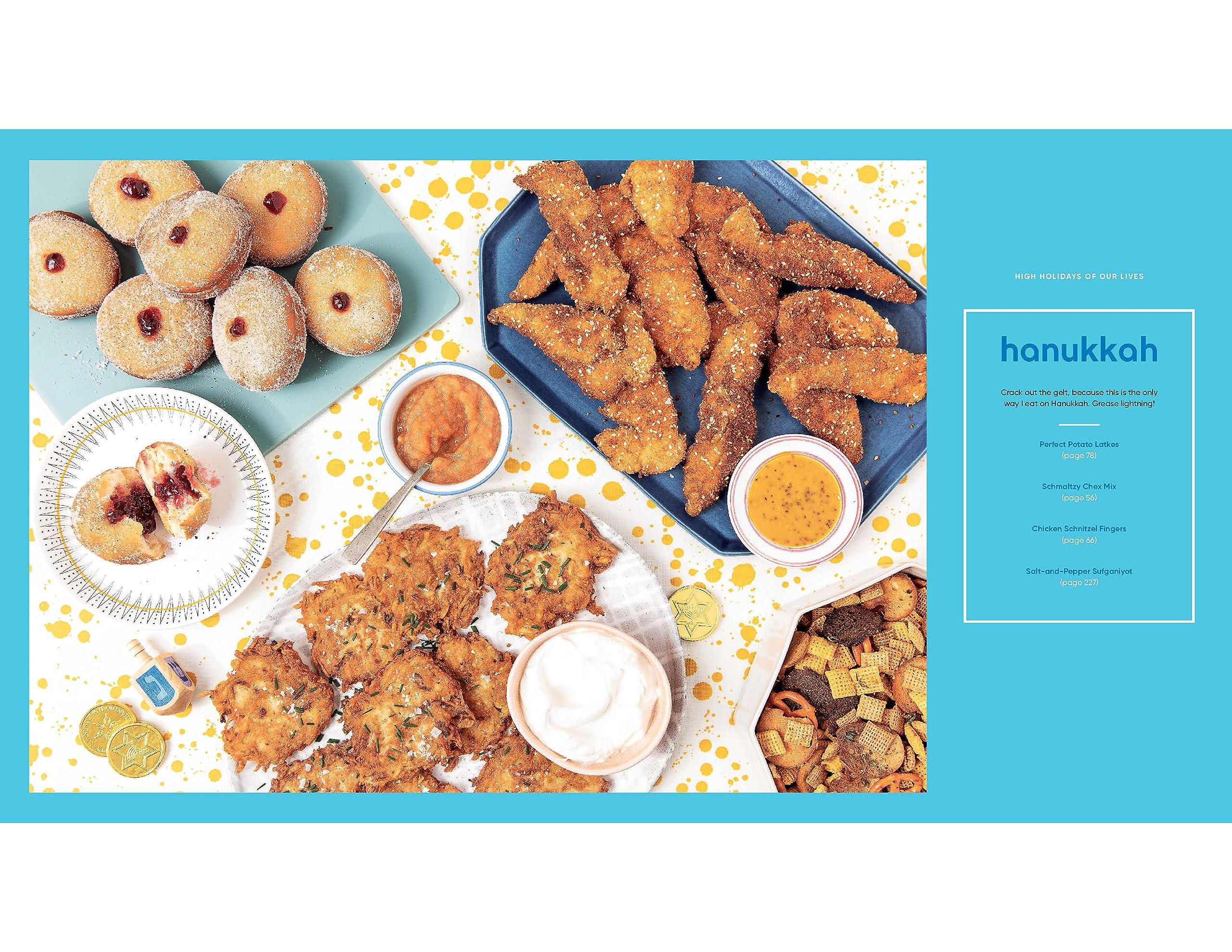 Jew-Ish: A Cookbook: Reinvented Recipes from a Modern Mensch