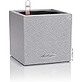 Lechuza 13470 Canto 14 Cube Self-Watering Planter for Indoor and Outdoor Use, 5.5" x 5.5" x 5.25", Grey
