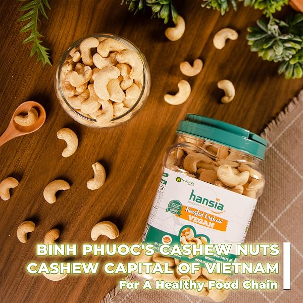 HANSIA ROASTED CASHEW VEGAN, DRY ROASTED UNSALTED SUPERFOOD, FRESH, HEALTHY, LOW SODIUM SNACKS, RICH OF PROTEIN & NATURAL FIBER, PROTEIN, VITAMIN AND IRON (ROASTED CASHEW , 1 POUND (PACK OF 1))