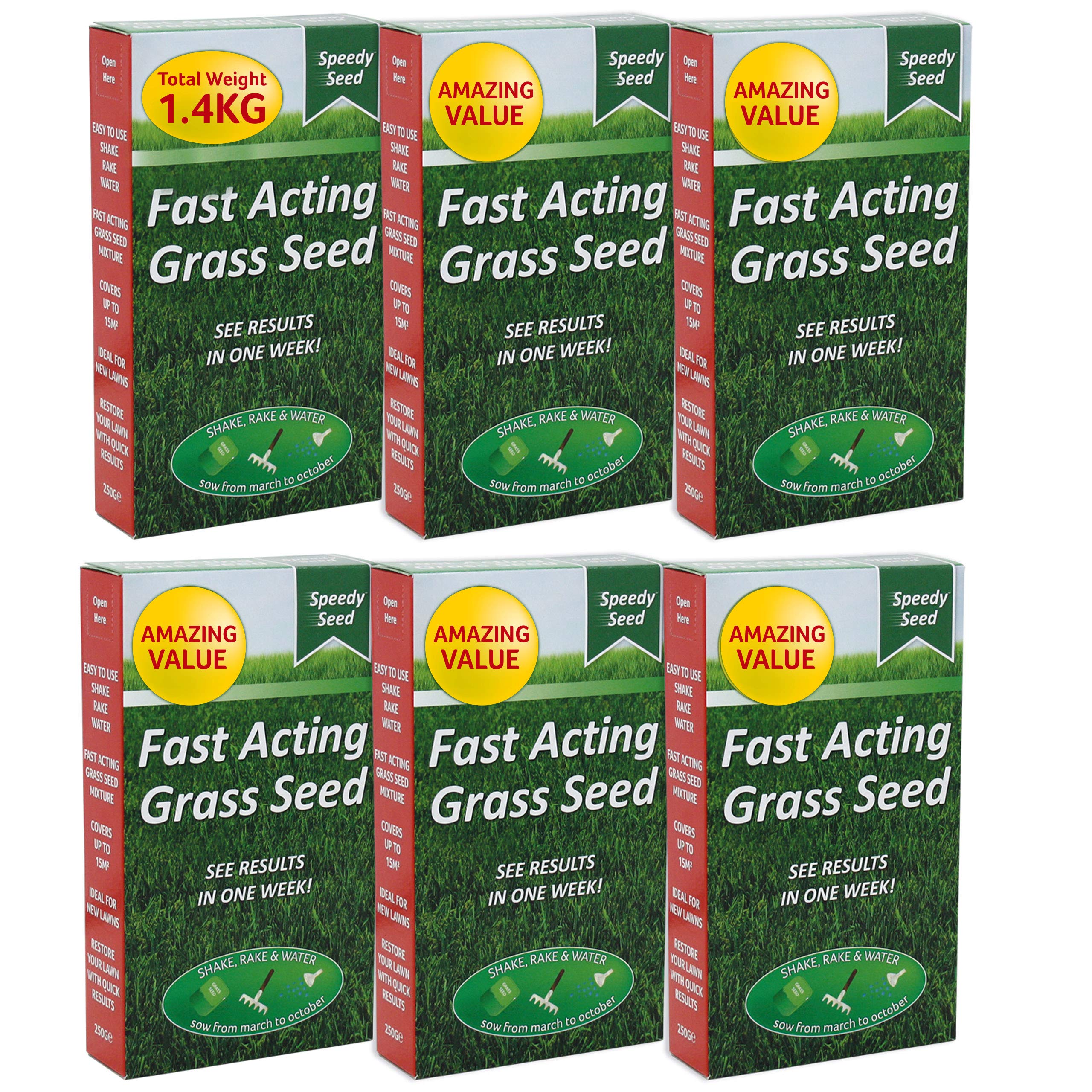 Buy Grass Seed, 1.4KG Premium Quality 84 m2 Coverage for Overseeding