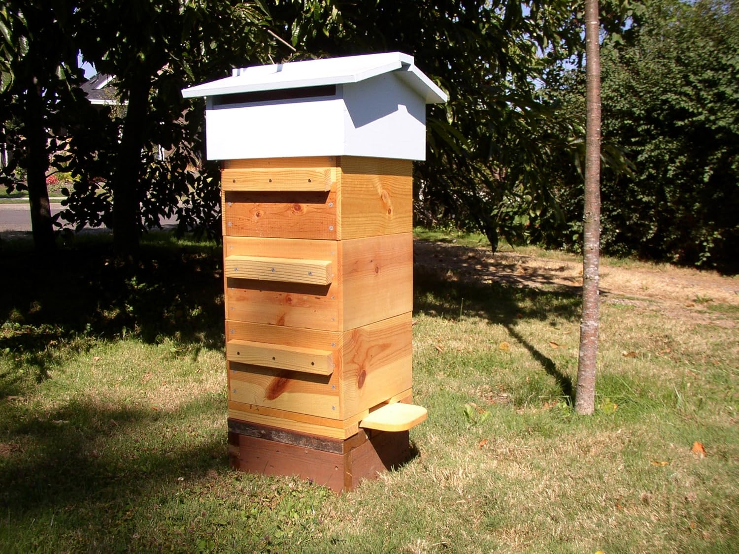 Warré Bee Hive kit 3box Kitchen & Dining