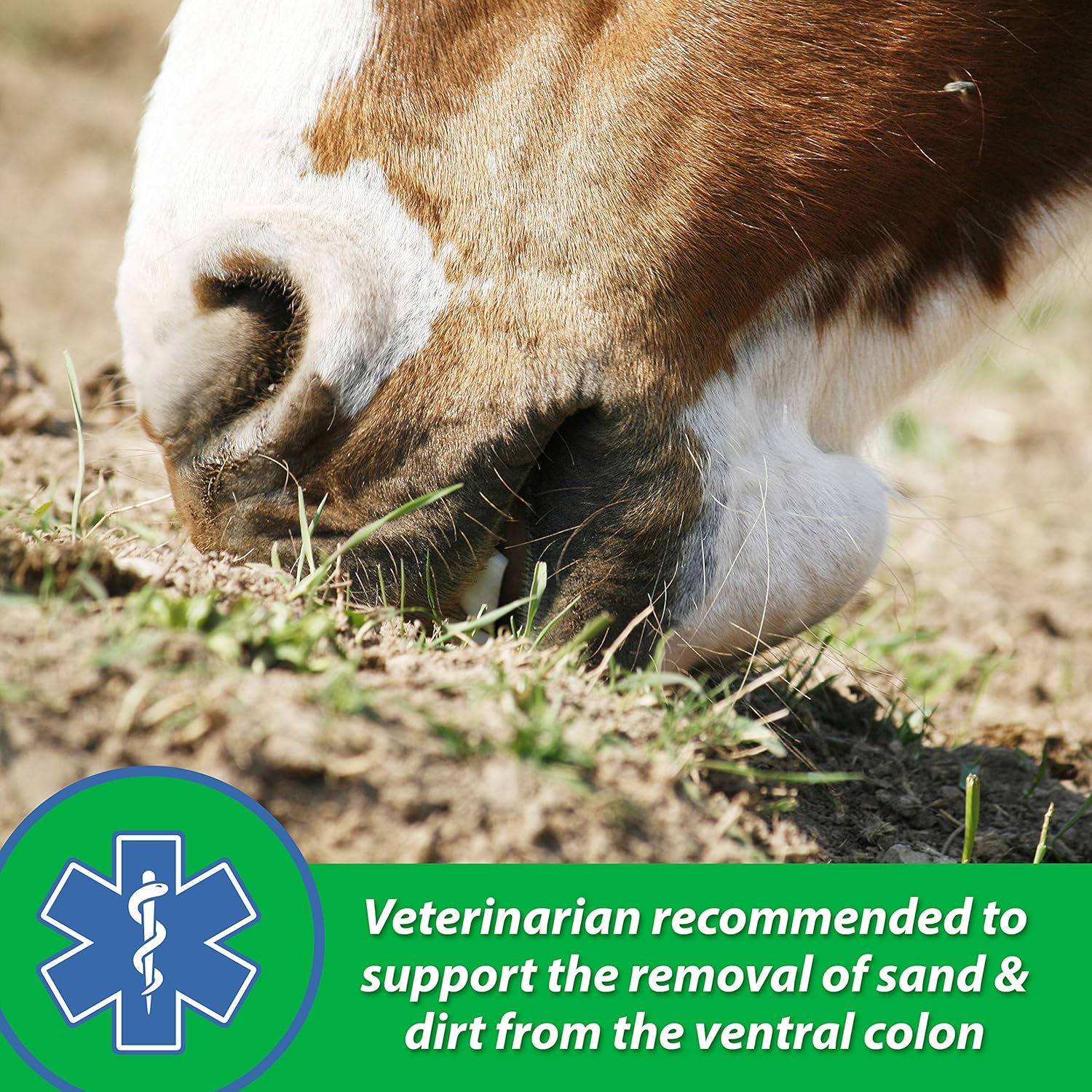 Farnam Sand Clear Digestive Aid for Horse, 20-Pound (10220) : Horse Nutritional Supplements And Remedies : Pet Supplies