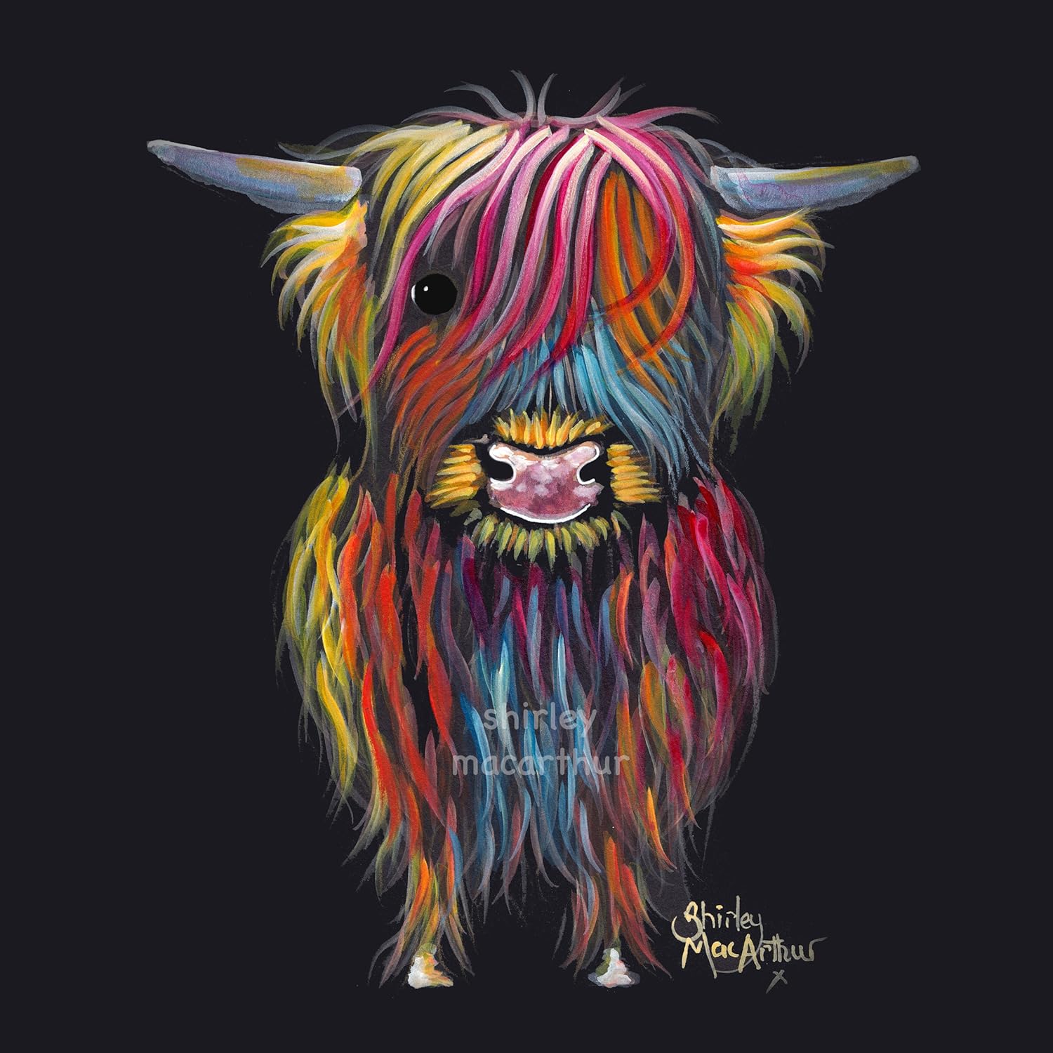 Amazon Com Scottish Highland Cow Art Print Or Box Canvas 3 Sizes