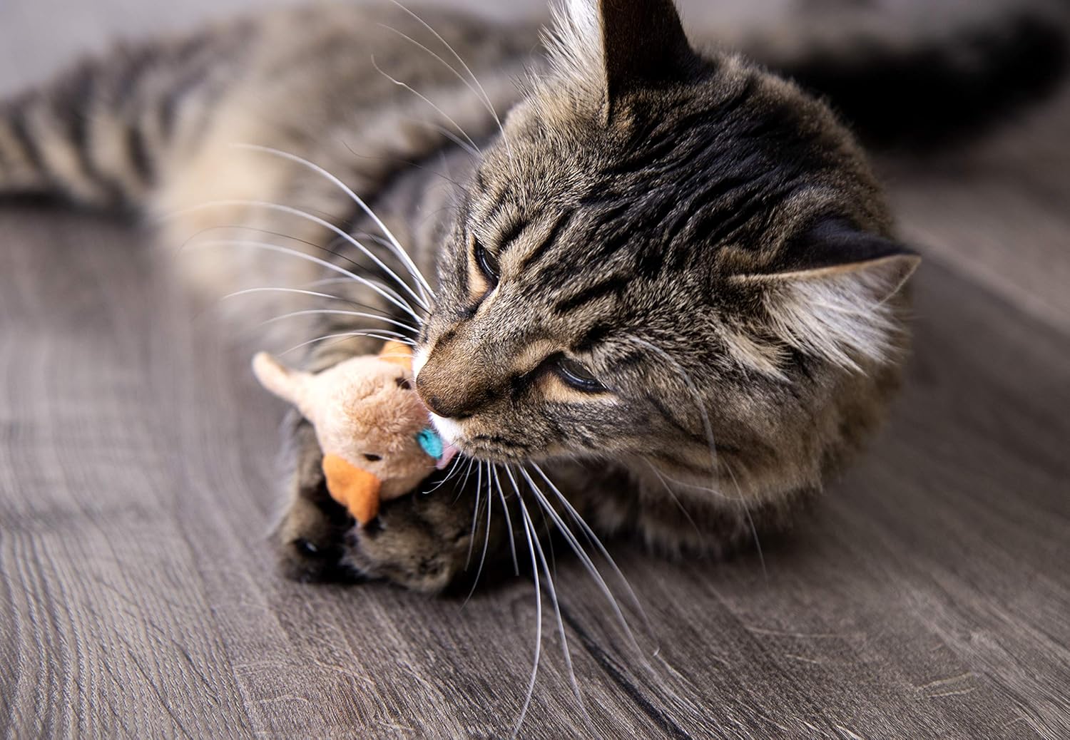 SmartyKat Electronic Sound, Motion or Light Cat Toys : Pet Mice And Animal Toys : Pet Supplies