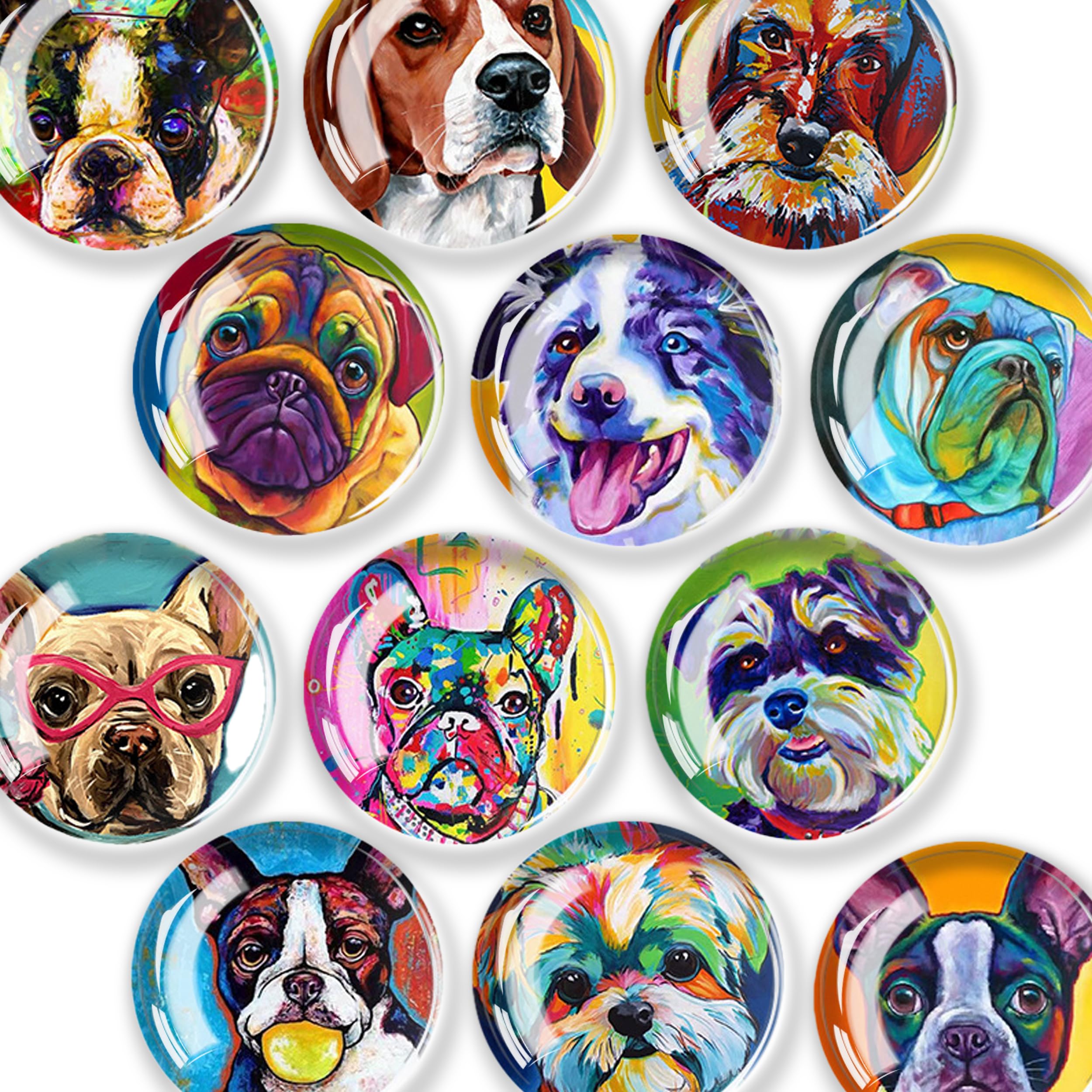 JJ PRIME - 12 Pcs Fridge Magnets | Round Fridge Magnet | Mini Fridge Accessories | Craft Magnets | Small Magnets for Whiteboard, Office. Kitchen and School (Dogs Design) โ image 1
