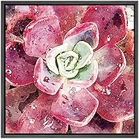 SIGNWIN Framed Canvas Wall Art Bright Red Mardi Gras Succulent Botanical Plants Watercolor Modern Art Chic Closeup Relax/Calm for Living Room, Bedroom, Office - 16x16 inches