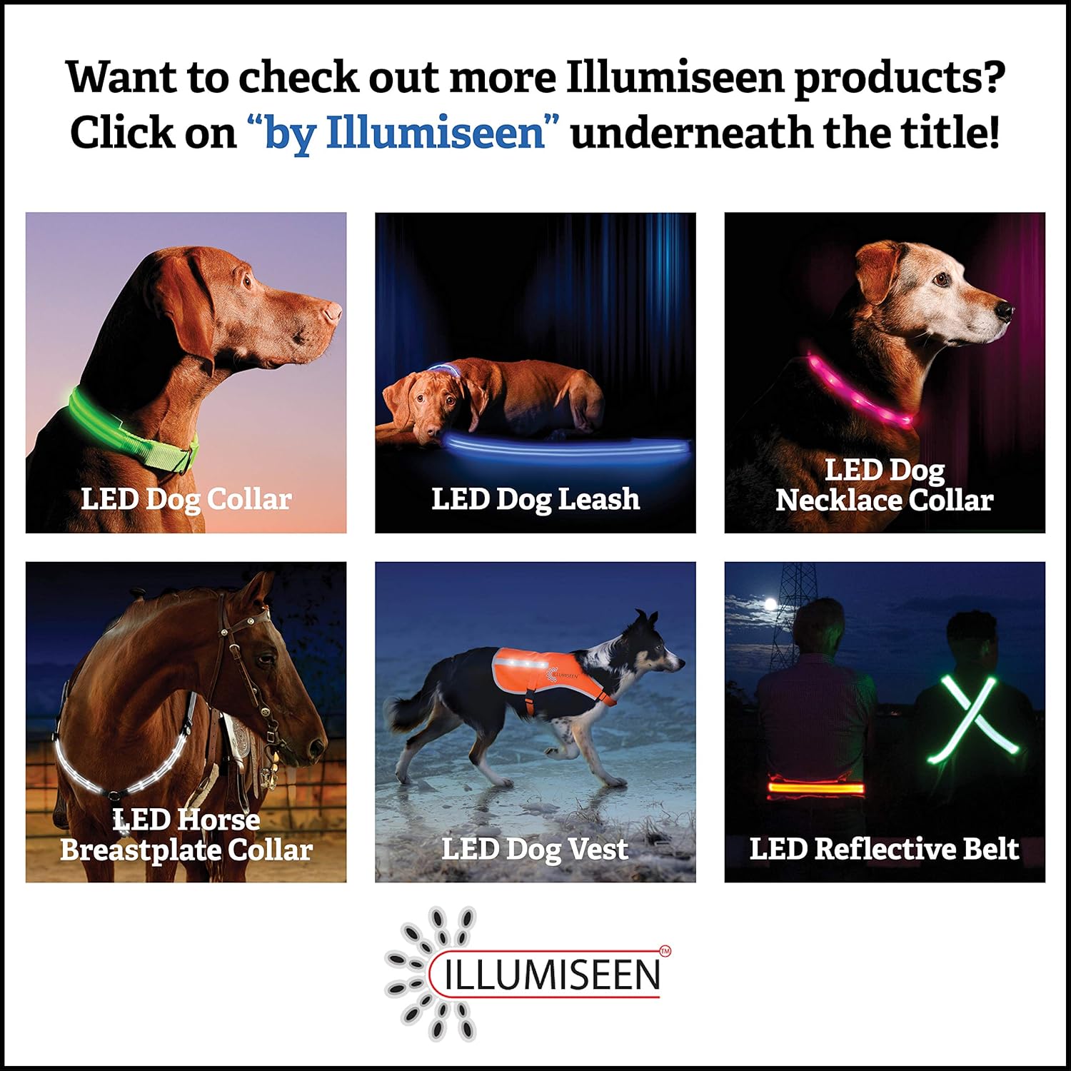 LED Dog Collar - USB Rechargeable - Available in 6 Colors & 6 Sizes - Makes Your Dog Visible, Safe & Seen : Pet Supplies