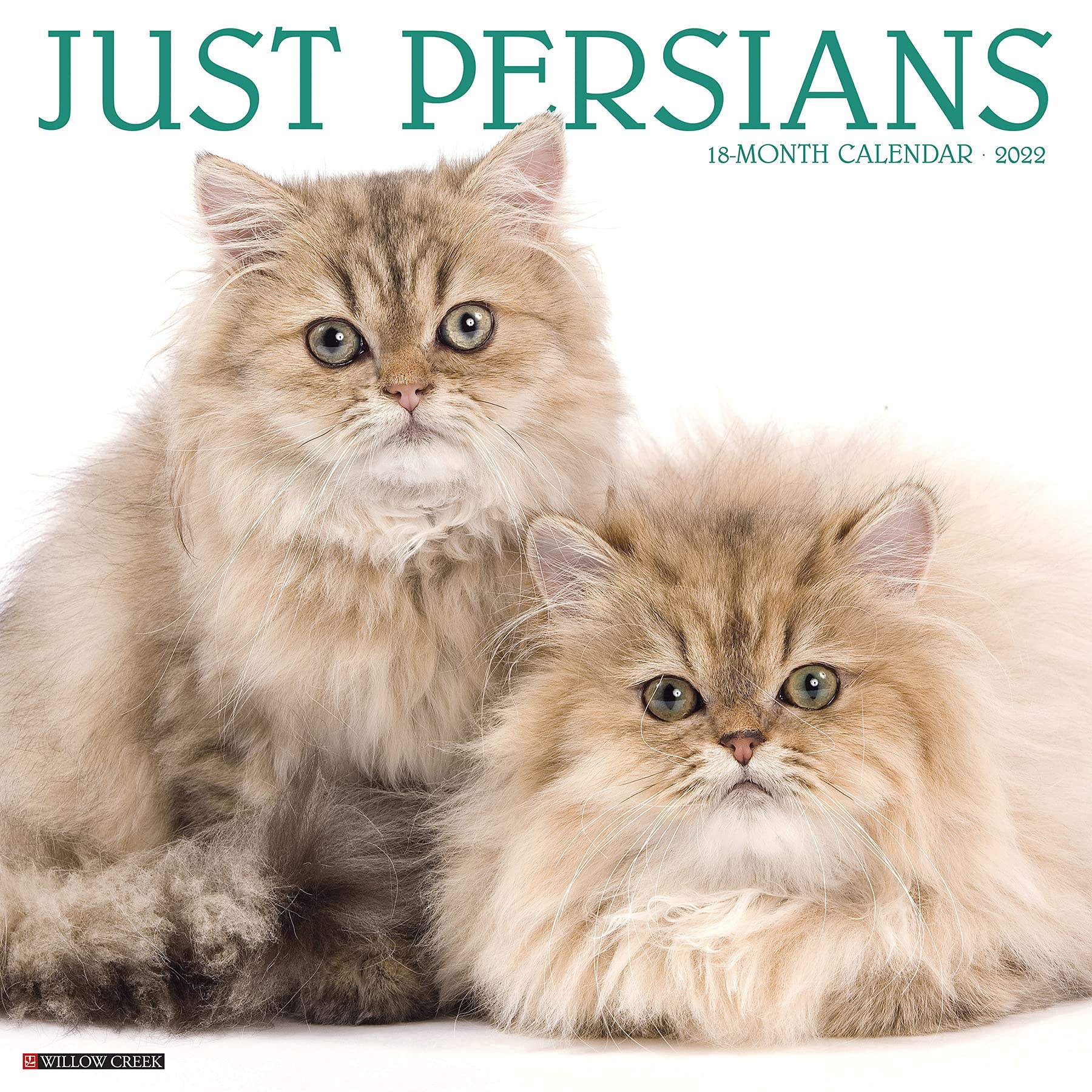 Persian Calendar 2022 Just Persians 2022 Wall Calendar (Cat Breed): Willow Creek Press:  9781549219238: Books - Amazon.ca