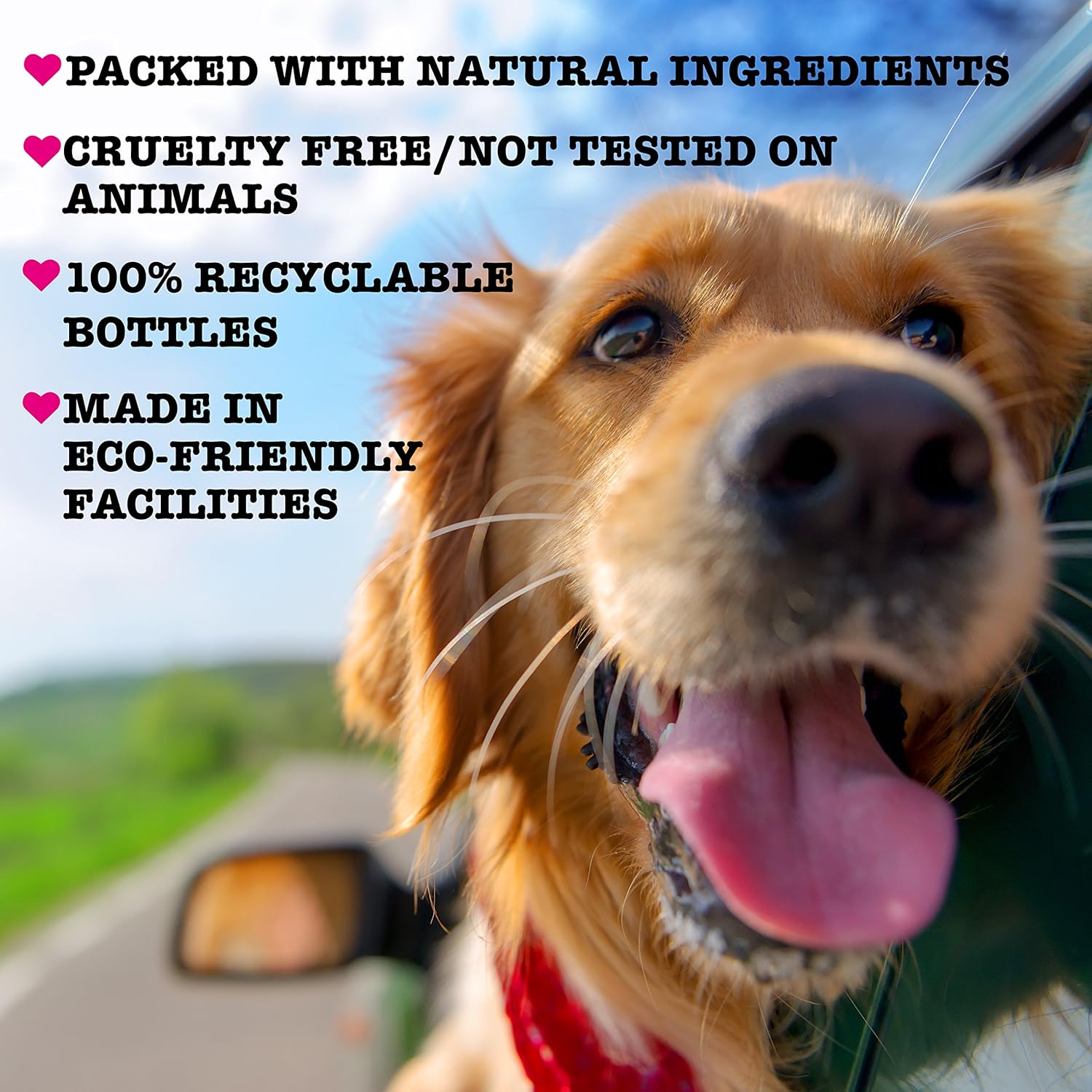 pet head shampoo life's an itch