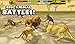 Cheetah Simulator