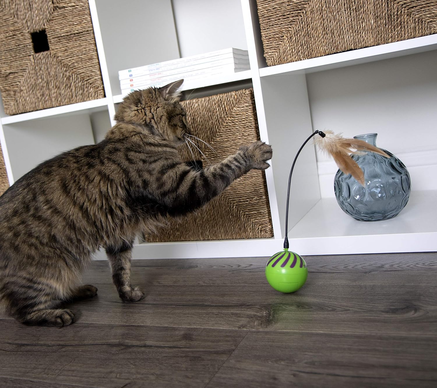 SmartyKat Feather Whirl Electronic Motion Cat Toy, As Seen On TV (9621), green : Pet Supplies