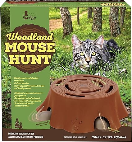 mouse hunt cat toy amazon