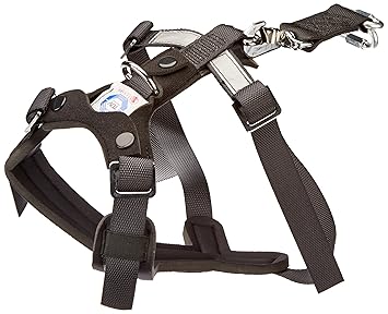 Kleinmetall 15380100 Allsafe Gürtel der Sicherheit für Hunde, S