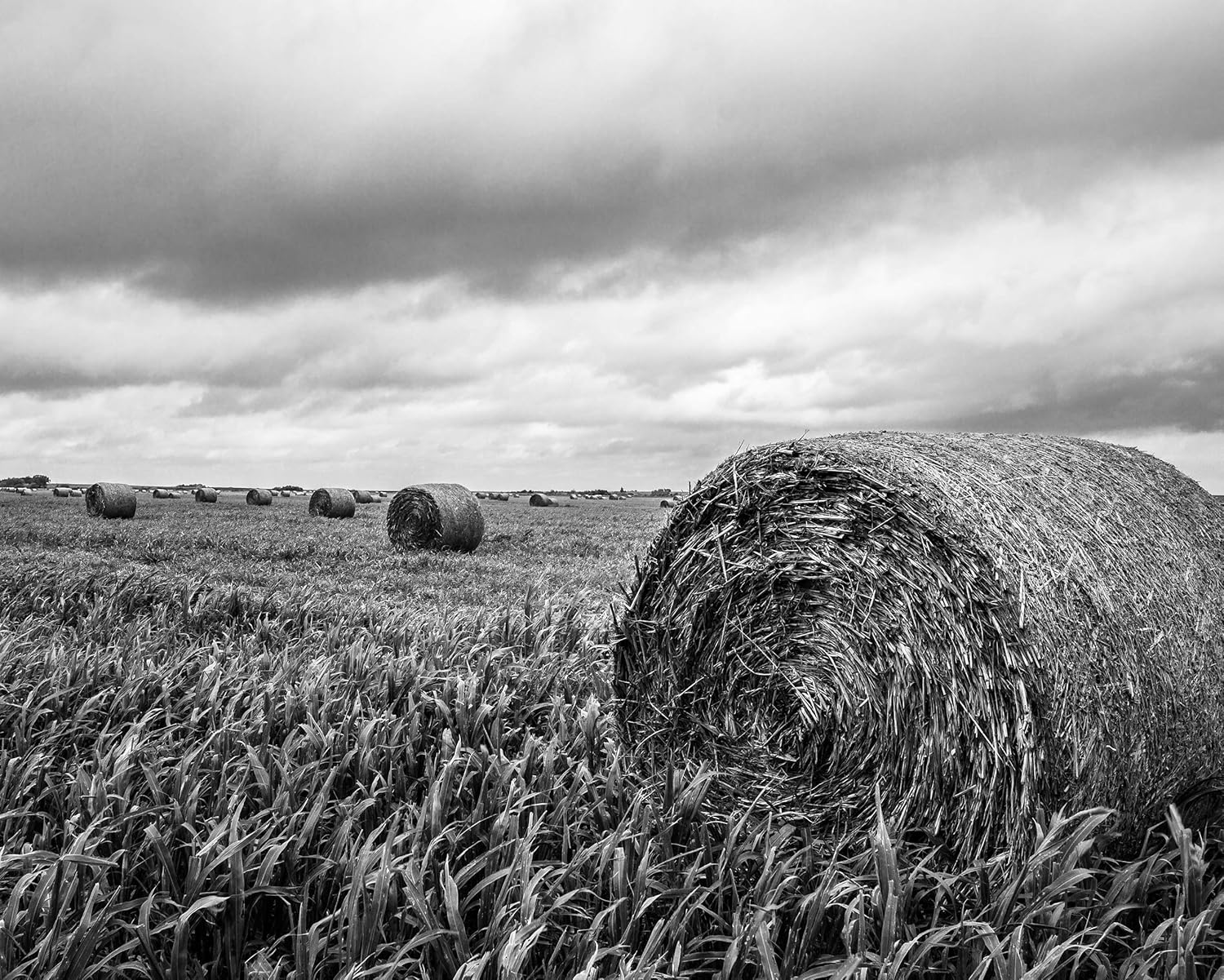 Amazon Com Farm Photography Print Not Framed Black And White Picture Of Hay Bales In Field In Kansas Country Farmhouse Wall Art Decor 4x6 To 30x45 Handmade