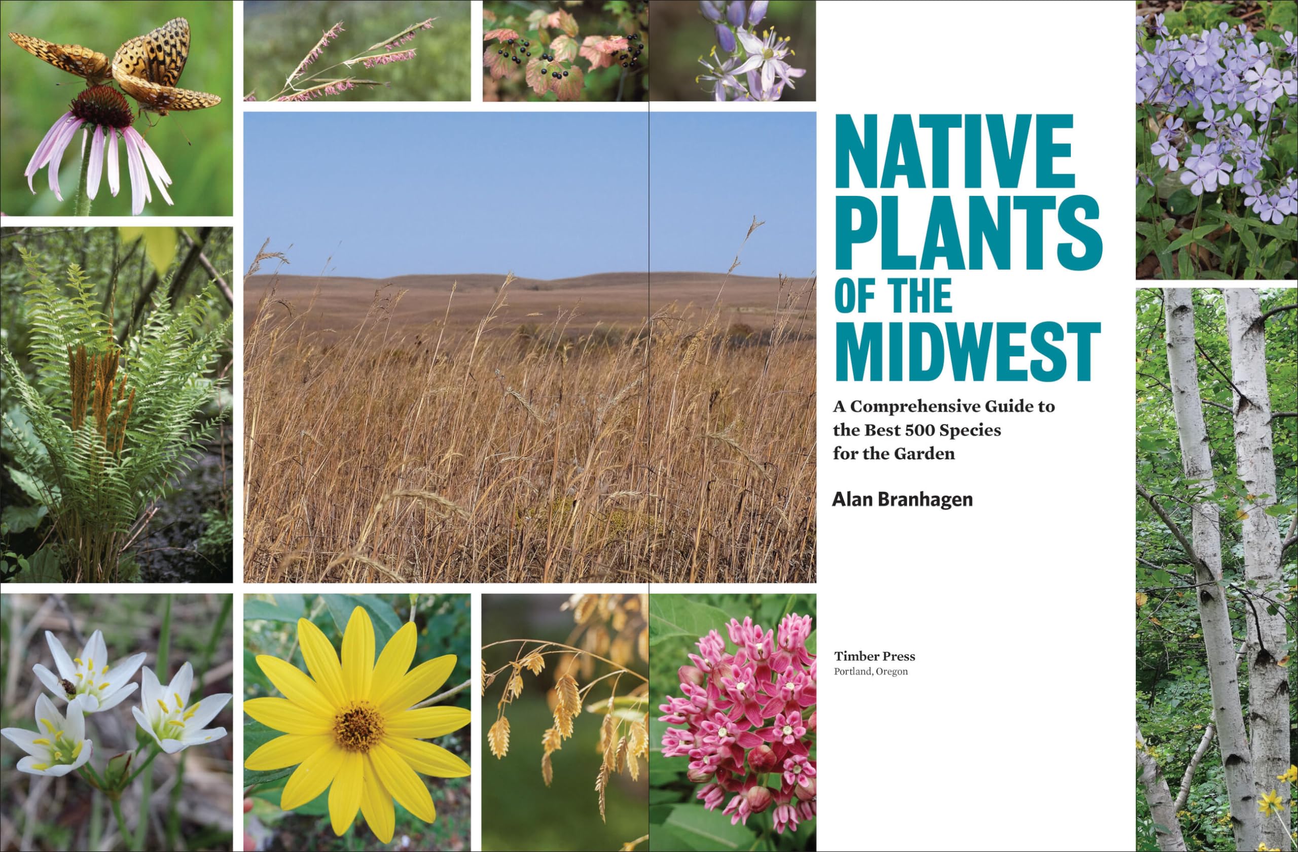 Native Plants of the Midwest: A Comprehensive Guide to the Best 500 Species for the Garden Native Plants of the Midwest: A Comprehensive Guide to the Best 500 Species for the Garden Native Plants of the Midwest: A Comprehensive Guide to the Best 500 Species for the Garden Hardcover Kindle