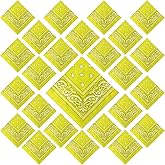 Suhine 24 Pcs Bandanas Bulk 22 x 22 Inch Paisley Outdoor Headband Handkerchief for Men Women Gift Thanksgiving Christmas