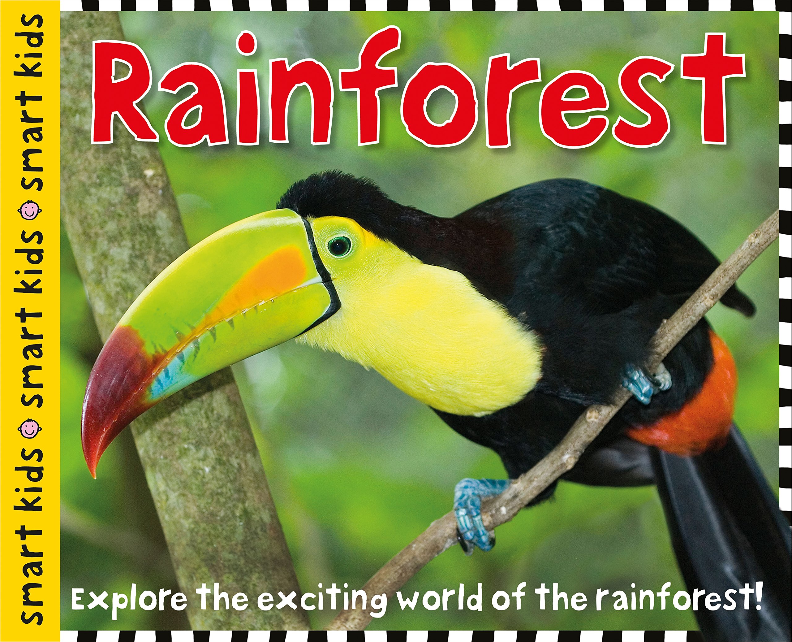 48 Fantastic Rainforest Books for Kids Teaching Expertise