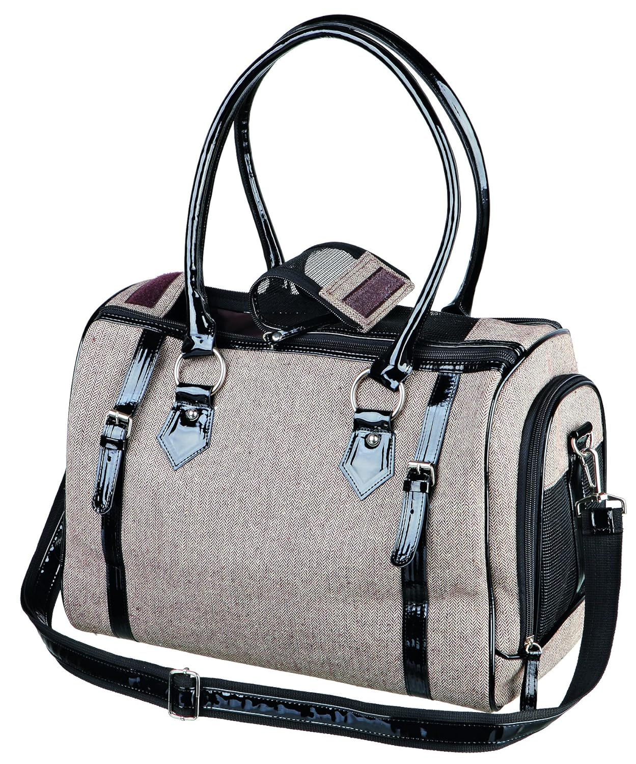 diy enzymatic cleaner for dog urine