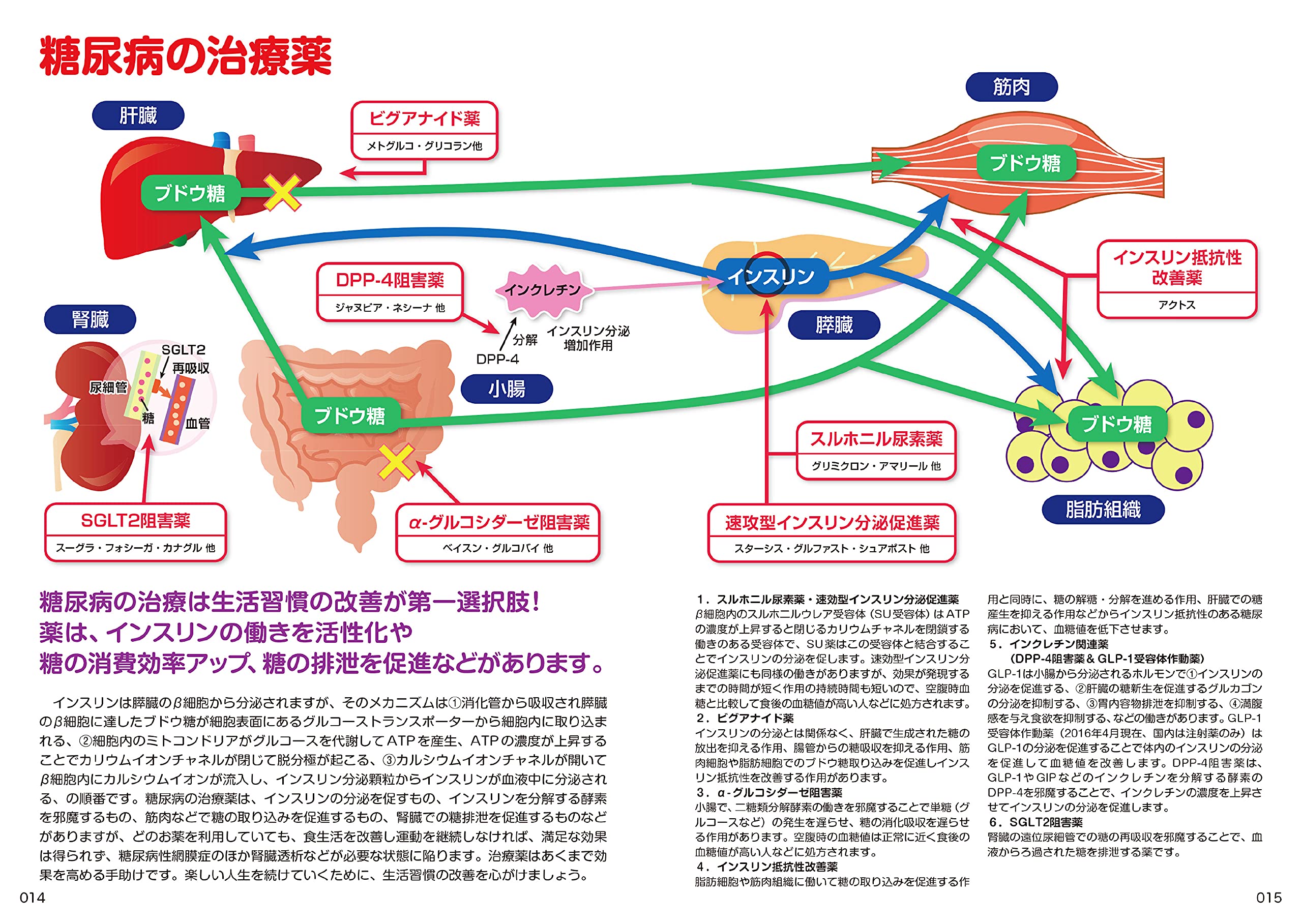 病院のくすりが名前で引けて、ジェネリック薬も実物写真で値段がわかる！オールカラー決定版！お薬事典 2024-25年版／郷 Mua 病院のくすりが名前で引けて、ジェネリック薬も実物写真で値段が