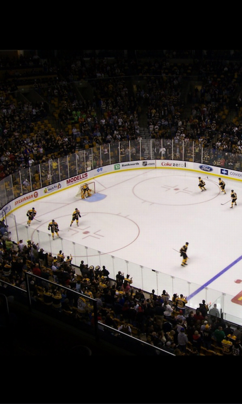 Pro Hockey Arenas Ice Rinks and Teams - Thumbnail 7
