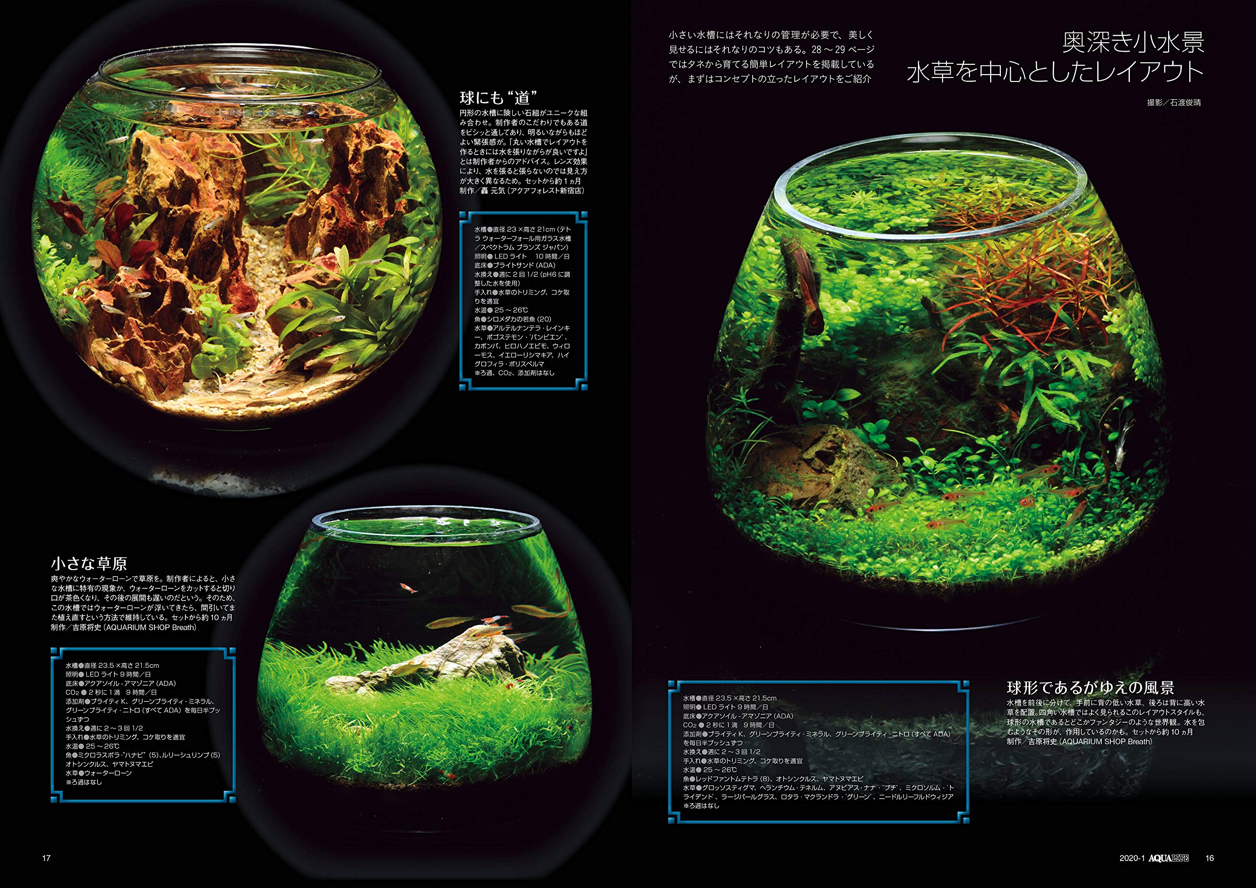 Amazon Fr 月刊アクアライフ 年 01 月号 手のひらの小宇宙 Small Eco Aquarium 特別付録 年 特大両面ポスターカレンダー Livres