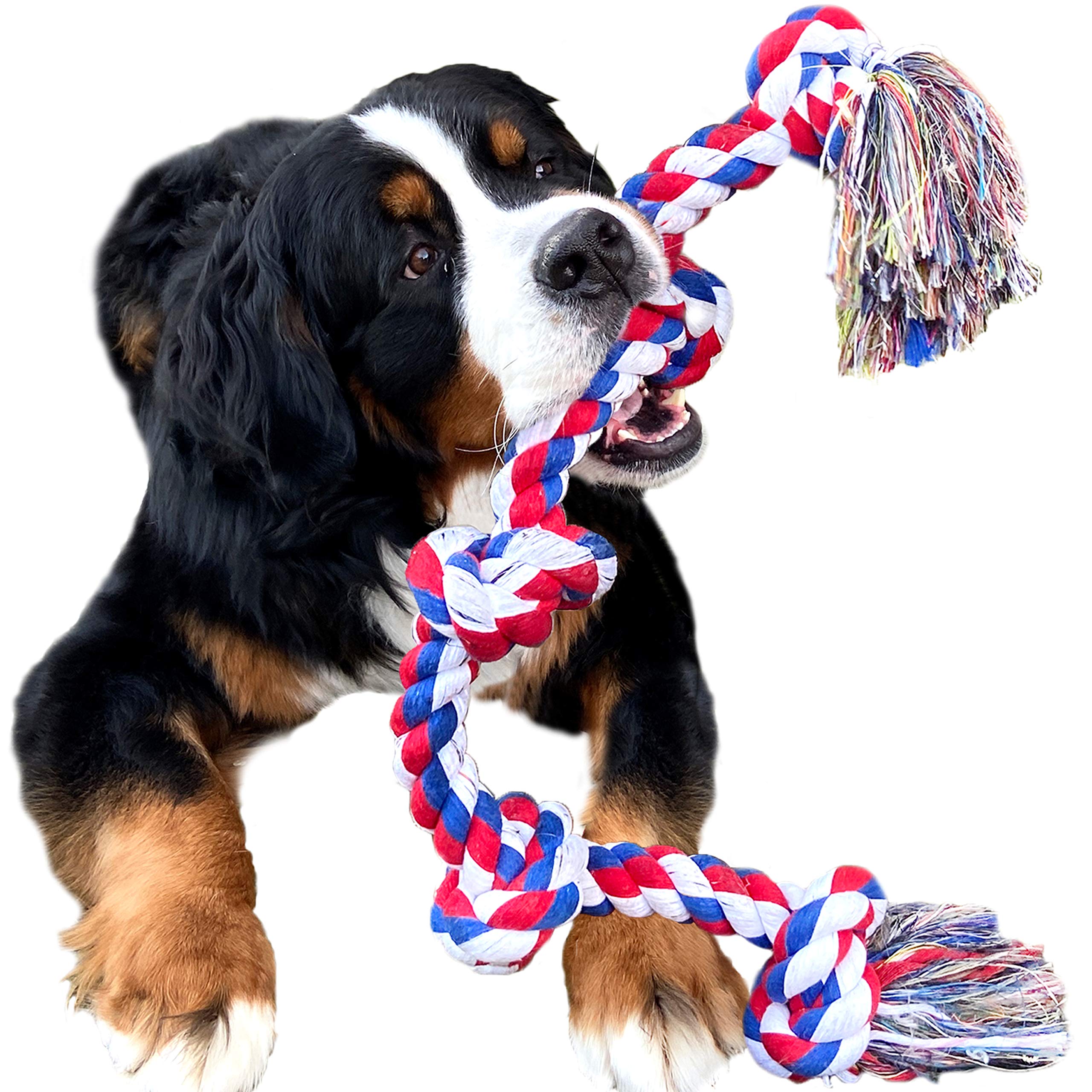 Youngever Dog Rope Toys for Aggressive Chewers Tough Rope Chew Toys for XL Large and Medium Dog Indestructible Rope for Large Breed Dog Tug War Teeth Cleaning (5 Knots)