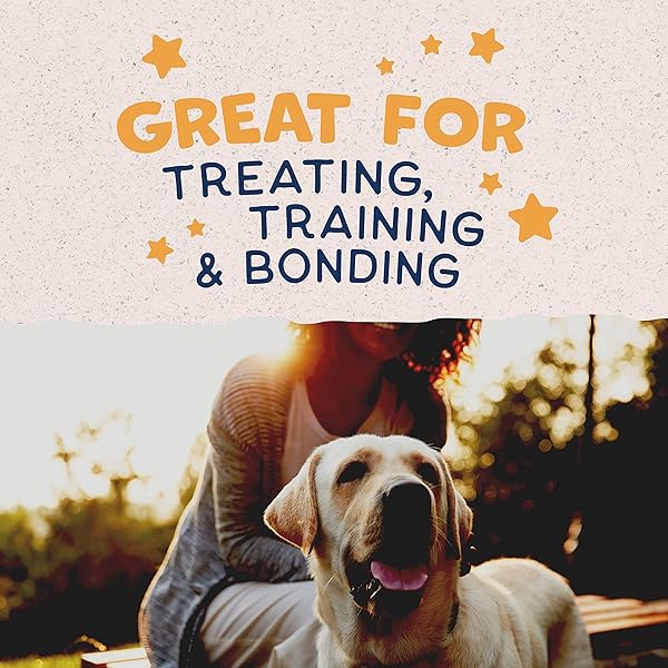 NATURAL BALANCE LIMITED INGREDIENT REWARDS CRUNCHY BISCUITS, GRAIN-FREE DOG TREATS FOR ADULT DOGS OF ALL BREEDS, DUCK RECIPE, 14 OUNCE (PACK OF 1)