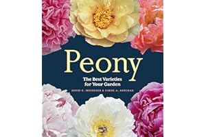 Peony: The Best Varieties for Your Garden