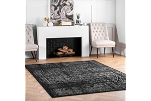 nuLOOM Arlena Vintage Traditional Area Rug - 7x9 Area Rug Modern/Contemporary Black/Grey Rugs for Living Room Bedroom Dining Room Kitchen
