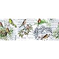 Advantus Idea-Ology Collage Paper 6yds Aviary, Multi