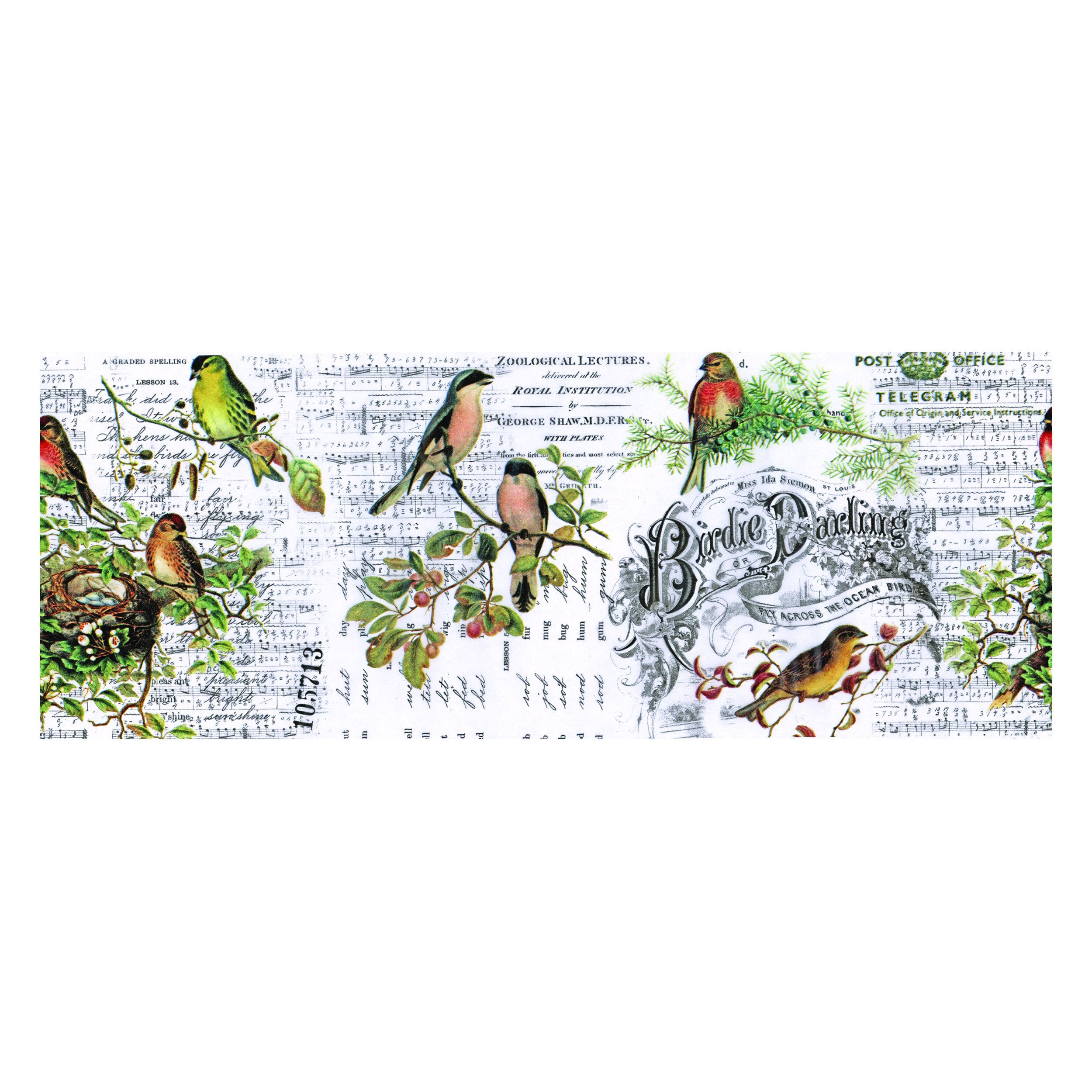 Advantus TH93706 Paper, Multicoloured, Medium