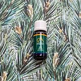 Absolute Aromas Pine Essential Oil 10ml 100% Pure Scotch Pine view 2
