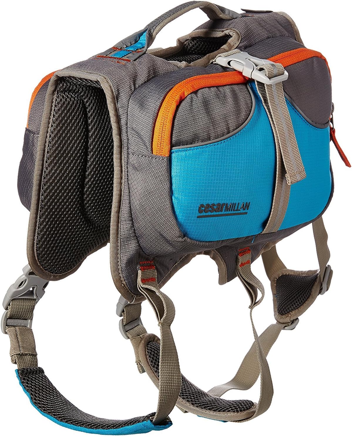 cesar millan backpack